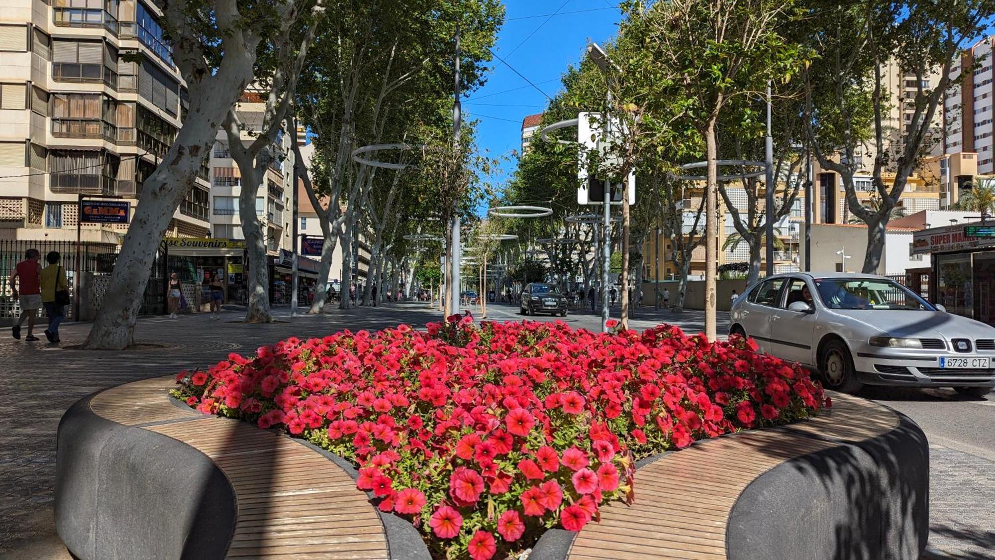 בנידורם Las Olas 0Ld Town Apartments מראה חיצוני תמונה
